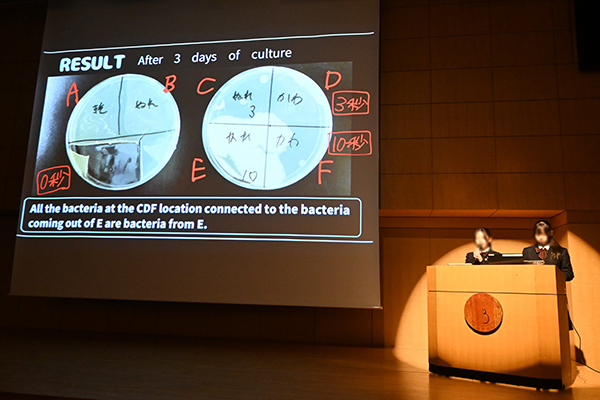 文京女子_2025年度、探究成果発表会における中3生の発表の様子